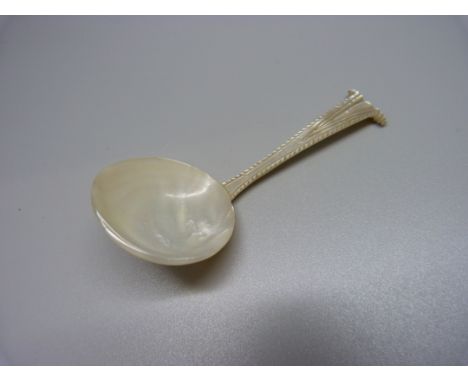 A 19th Century carved mother of pearl caddy spoon 