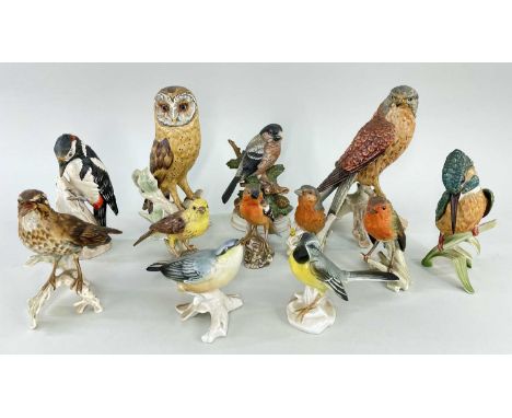 ASSORTED CONTINENTAL PORCELAIN BIRD MODELS, including 9 Goebel birds including Barn owl and falcon, 2 Karl Ens birds, and ano