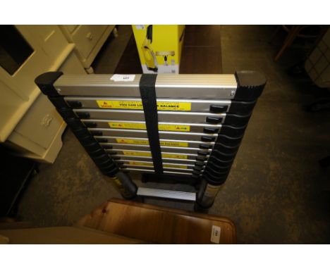 Telescopic ladder