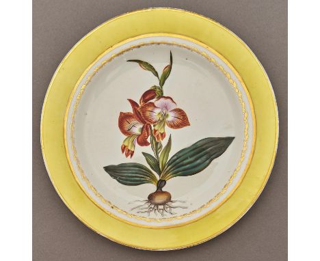 A Derby botanical dessert plate, c1795-1800,&nbsp;painted in the manner of William 'Quaker' Pegg, in gilt husk surround and c