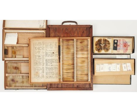 Miscellaneous microscope slides, mostly first half 19th c,&nbsp; in six boxes (a qty)  