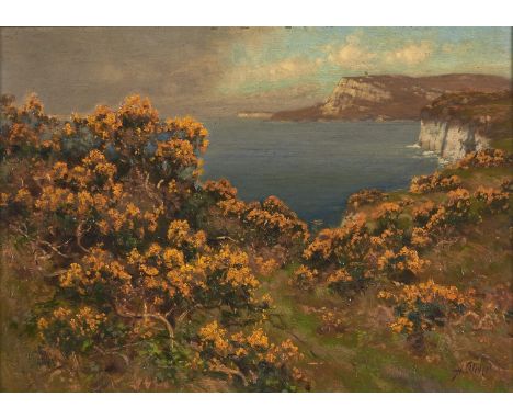 Alfred Oliver (1868-1943) - Common Gorse on a Coastal Cliff, signed, oil on board, 24 x 34cm  Good preservation, varnish requ