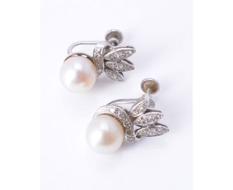 A pair of cultured pearl earrings, mid 20th Century, each with an 8.5mm light cream cultured pearl beneath a foliate surmount