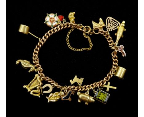 9ct gold curb link bracelet, with nineteen 9ct gold charms including platypus, horses head, dog , koala bear, pig, seahorse, 