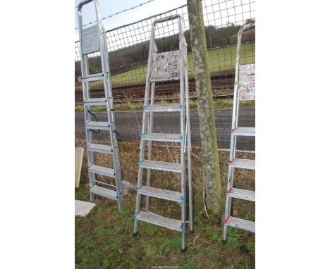 A six rung aluminium step ladder.
