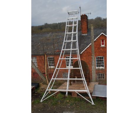 A 10 rung aluminium fruit picking ladder.