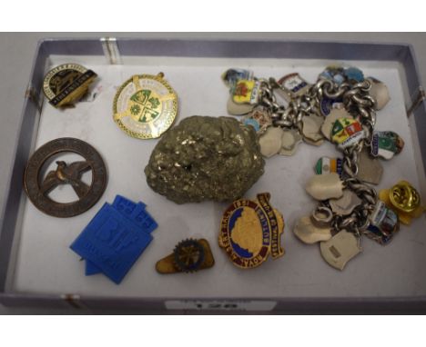 A silver/white metal and enamel charm bracelet, the curb type links suspending various shield form souvenir charms, sold alon