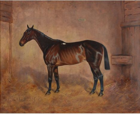 Charles Gatehouse (1866-1952) - Portrait of hunter 'Freia' Oil on canvas Signed lower left 43.5 x 53.5 cm. (16 1/8 x 21 in)  