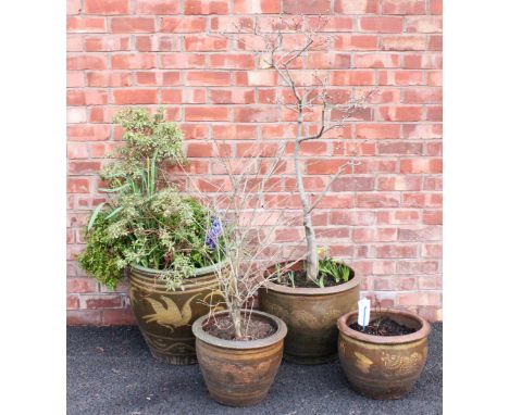 Four various modern stoneware planters, filled with assorted plants and shrubs, tallest planter 49cm high (4) 