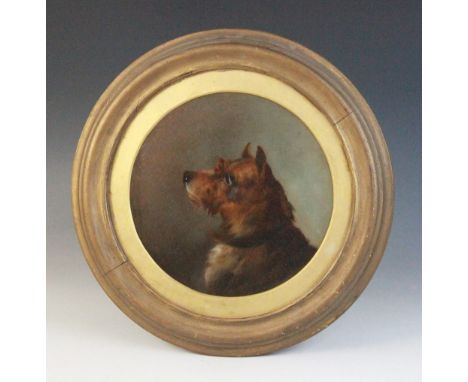 Attributed to George Armfield (British, 1808-1893),A tondo portrait of a Terrier,Oil on board,Unsigned,22cm diameter,Framed a