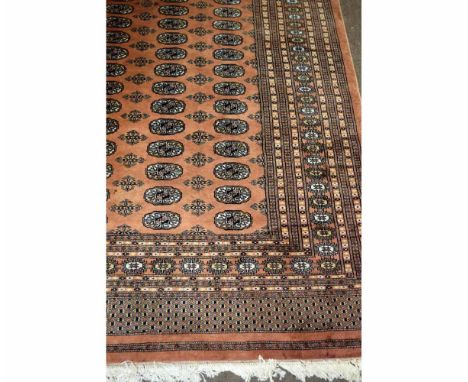 Good quality Bokhara type carpet with terracotta ground with repeating lozenge centre and multi-gulled border, 255cms wide x 