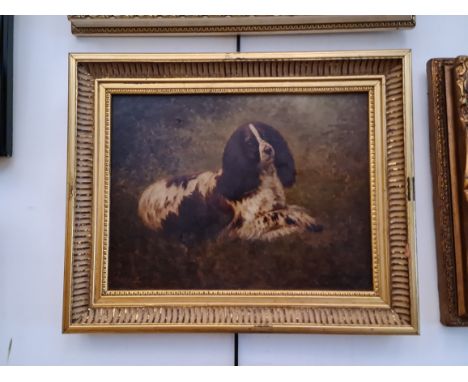 Herbert St John Jones (1870-1939), 'Prince', portrait of a spaniel, oil on board, 29.5cm x 22cm, signed to lower right and ti