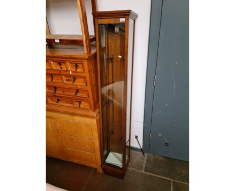 An early 20th century oak and glass elongated shop display cabinet.  Dimensions- height 169cm, width 31cm and depth 26cm.Shel