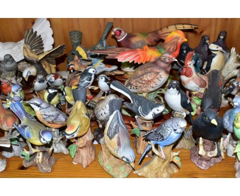 A COLLECTION OF OVER FIFTY BISQUE BIRD FIGURES, depicting British and exotic birds, including Capodimonte, Maruri and Kowa, a