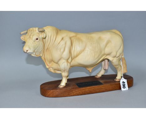 A BESWICK CHAROLAIS BULL FIGURE, no A2463A, on a wooden plinth labelled 'Charolais Bull, A Connoisseur Model By Beswick Engla