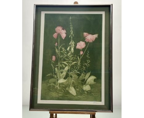 P.J Figgis, Poppy and Foxclove, artist proof print, signed and dated June '77 in pencil, framed. (64cmx45cm)