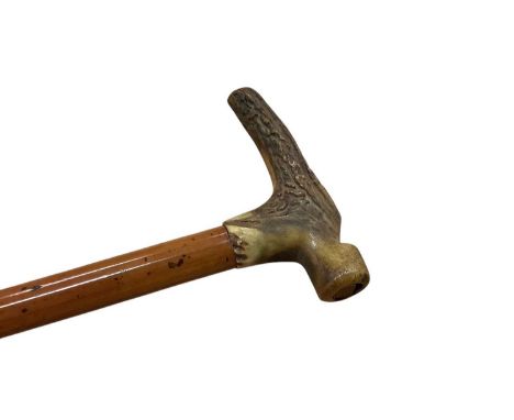 Late Victorian/early Edwardian lady’s gadget walking stick, with Malacca shaft, mounted with stag’s horn handle in the form o
