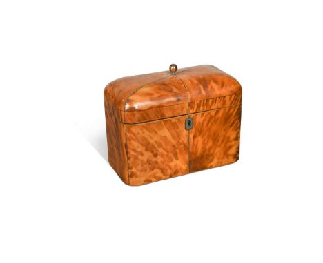 A Regency blond tortoiseshell tea caddy,  with wire inlaid segmented hinged cover opening to reveal twin compartments within1