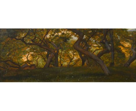 Sir William Blake Richmond KCB RA PPRBSA (1842-1921) Woodland landscapesigned with initials and dated 1892 (lower right)oil o