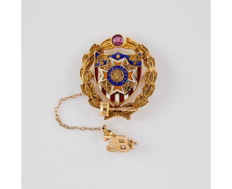 10k yellow gold Auxiliary VFW military or Shriner's pin. With inset enamel decoration and one ruby crowning the shield betwee