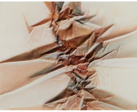 Edward Evans (American, b. 1935). Acrylic on canvas trompe l'oeil painting titled "Desert Fox," depicting Evans' iconic blend