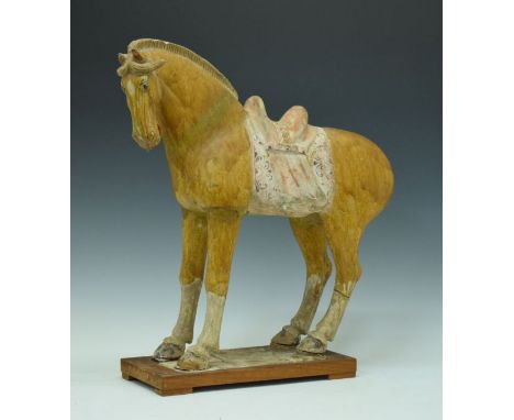 Early Chinese Tang style pottery figure of a horse having a mustard coloured partially glazed body, unglazed saddle with pain