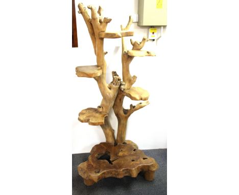 An interesting natural hardwood tree trunk plant stand, H. 155cm.