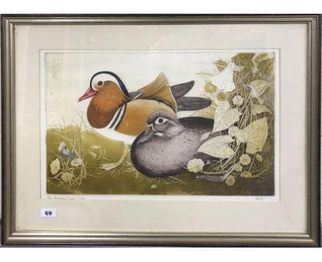 A framed limited edition (71 / 75) pencil signed lithograph 'Mandarin Duck and Drake', frame size 74cm x 55cm.