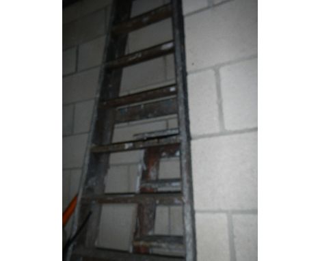A long 10 tread aluminium framed ladder and 1 other