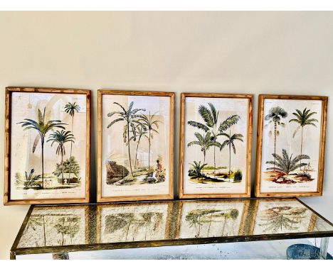 A SET OF FOUR BOTANICAL PALM TREE PRINTS. framed and glazed, 50cm H x 35cm W.