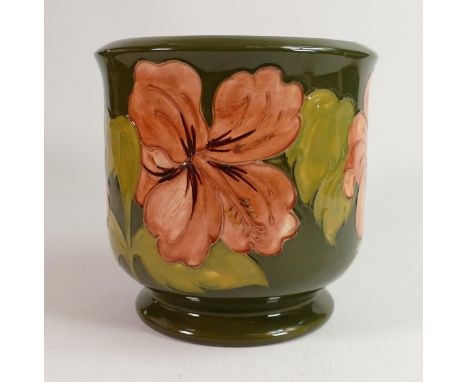 Moorcroft Planter in Hibiscus height 18cm, diameter 18cm, Walter Moorcroft 