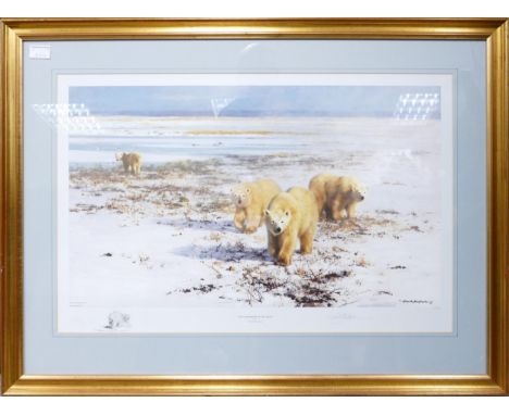 Large David Shepard Print Lone Wanderers of the Artic Ltd Edition, signed on mount, frame size 71 x 94cm 