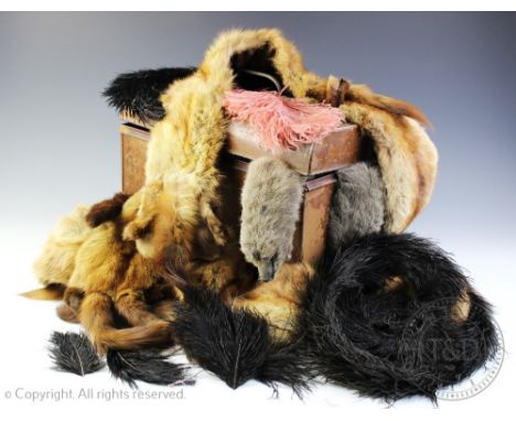 A tin trunk containing five assorted furs, collars and stoles along with ostrich feathers, trunk 29.5cm H x 40cm W x 22cm D