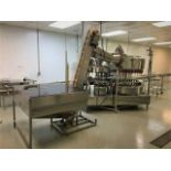 Fogg 36-10 Monoblock Fller Capper (chuck Sport cap 28mm). Speed of about 100-110 bpm.) (Located