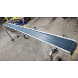 NEW DORNER Sanitary Conveyor Table top on legs, all stainless steel construction. 10'' large x 10'