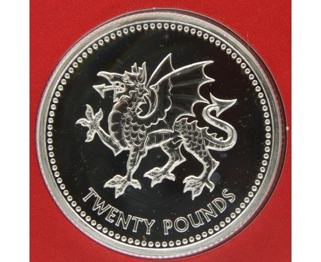 2016 £20 silver bullion, Welsh Dragon coin. P&amp;P Group 1 (£14+VAT for the first lot and £1+VAT for subsequent lots) 