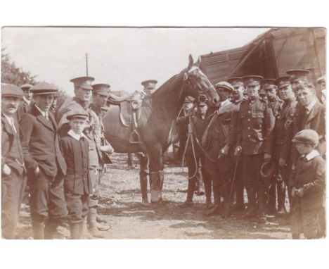Ox's and Bucks Light Infantry - Very fine RP unit around an Officers' horse, very clear cap badges