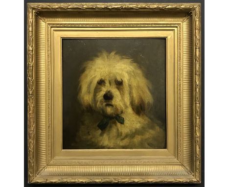 19th Century Oil on panel. “Portrait of a Dandy Dinmont”. Measures 31cm x 34cm.Condition Report – Original condition. The boa