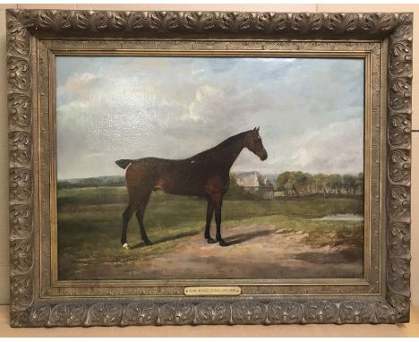 Attributed to John Ferneley Senior 1782-1860. English. Oil on canvas. “Portrait of a Bay Hunter”. Measures 56cm x 76cm.Condit