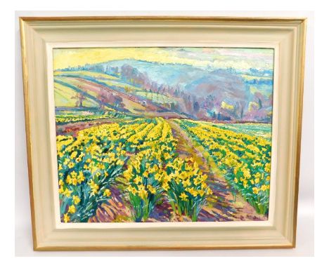 Mary Martin (b.1951 Cornish), oil on panel, titled 'Daffodil Field in Morning Light 2003', image size 21.5in x 17.5in