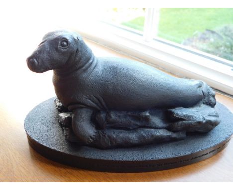 Mariner's Cottage: A resin model of Nelson the Seal after Suzie Marsh, measures 9in across base