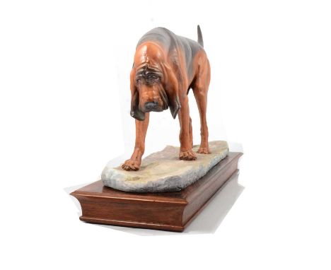 Albany Fine China model of a Bloodhound, after Neil Campbell, overall length 36cm.