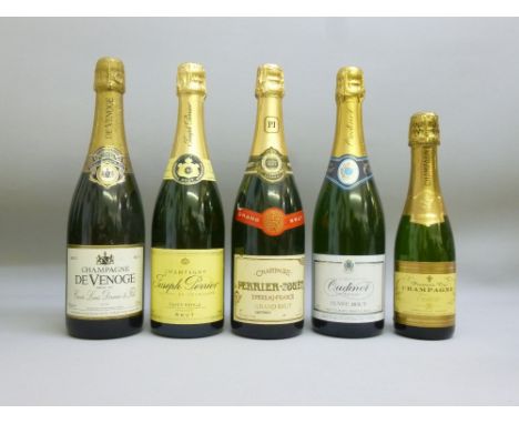 MIXED LOT OF CHAMPAGNES AND SPARKLING WINES INCLUDING PERRIER-JOUET N.V. 75cl, JOSEPH PERRIER N.V. 75cl, DE VENOGE N.V. 750ml