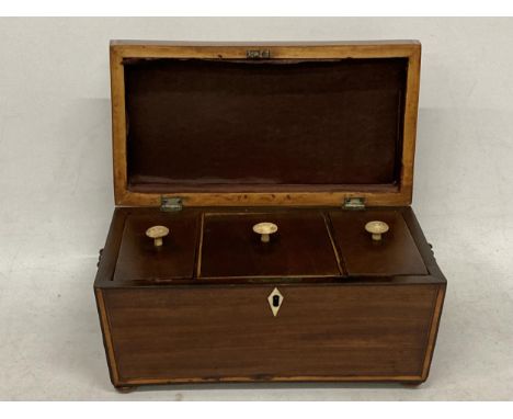 A GEORGIAN MAHOGANY TEA CADDY WITH THREE INNER COMPARTMENTS AND LION HANDLES 