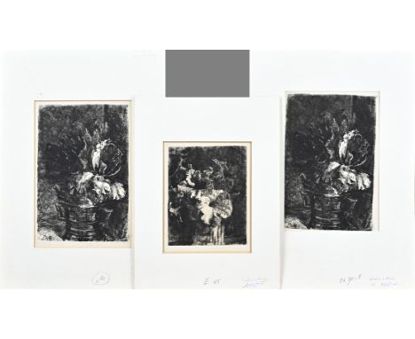 3x Barbara van Houten. 1862 - 1950. 3x Flower still life. Etching on paper. Size: approx. 23 - 30 cm. In good condition.