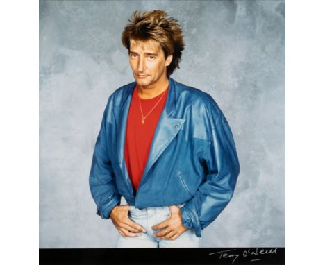 Terry O'Neill CBE,British 1938-2019,Rod Stewart, c.1980;&nbsp;cibachrome print on photo paper,signed in ink,&nbsp;visible ima