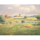 Lützen, A: Ländliche Idylle mit Windmühle, 20. Jhd.