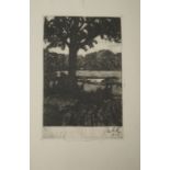 Pankok, Bernhard: Baum in Landschaft