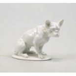 Rosenthal, Bavaria: Französische Bulldogge sitzend