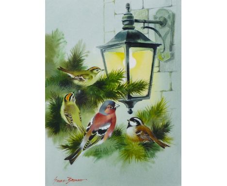 Peter Swan Brown (1936- ) British. “Friendly Gathering”, Birds by a Lantern, Watercolour, Signed, 9” x 6.5”. 
